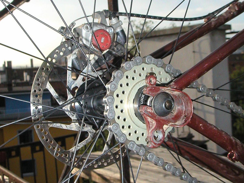 Datei:517855401 9ae2f7ce6d o.jpg