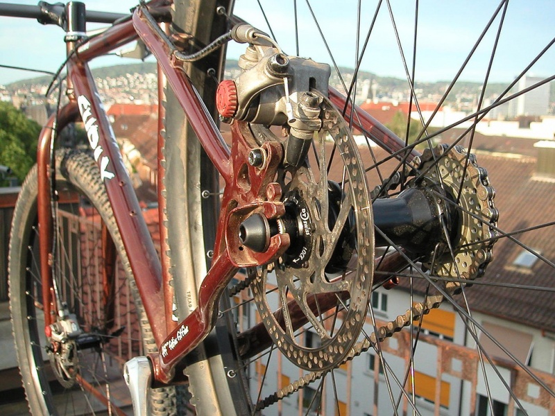 Datei:517855717 e4b0c18dff b.jpg